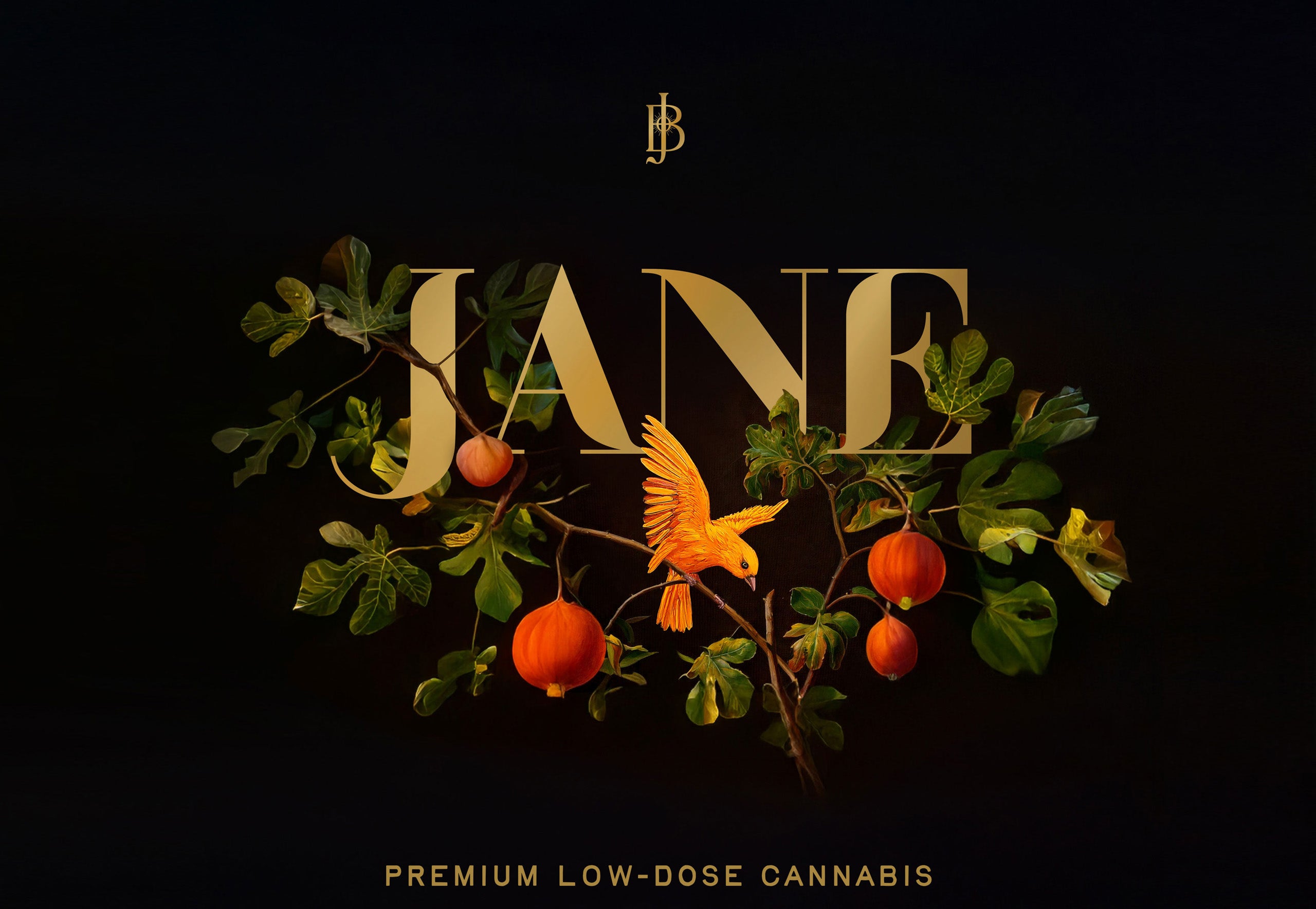 Jane Logo and Bird on a fig tree branch with text underneath "PREMIUM LOW-DOSE CANNABIS"